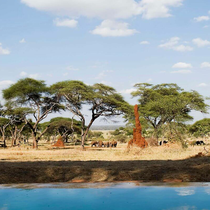 Sancturary Swala Camp