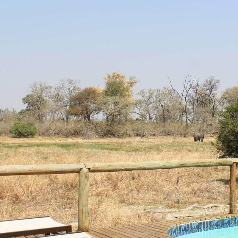 Sango Safari Camp