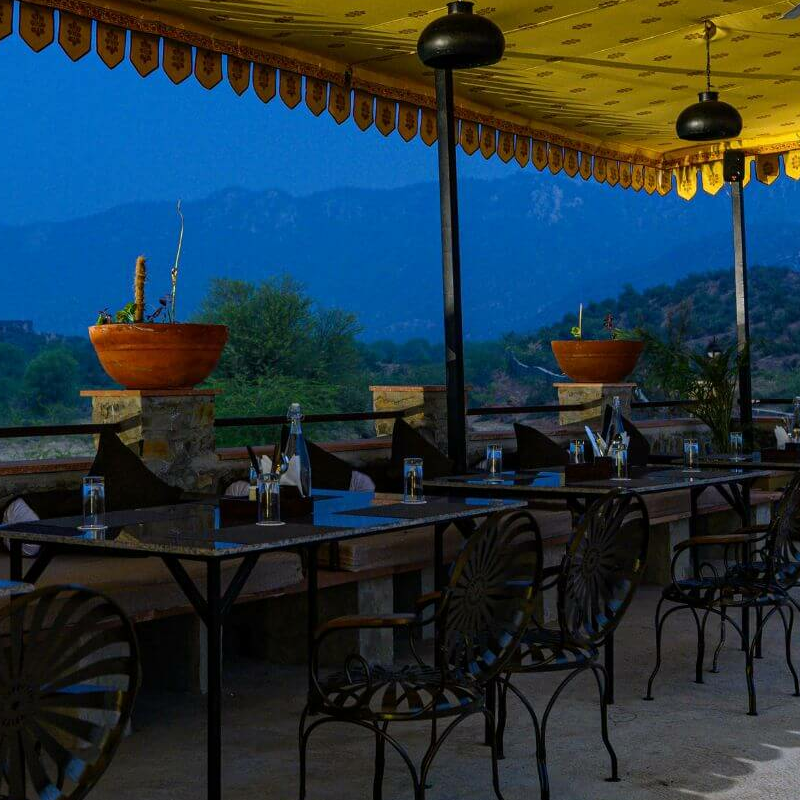 Sariska Little Affair
