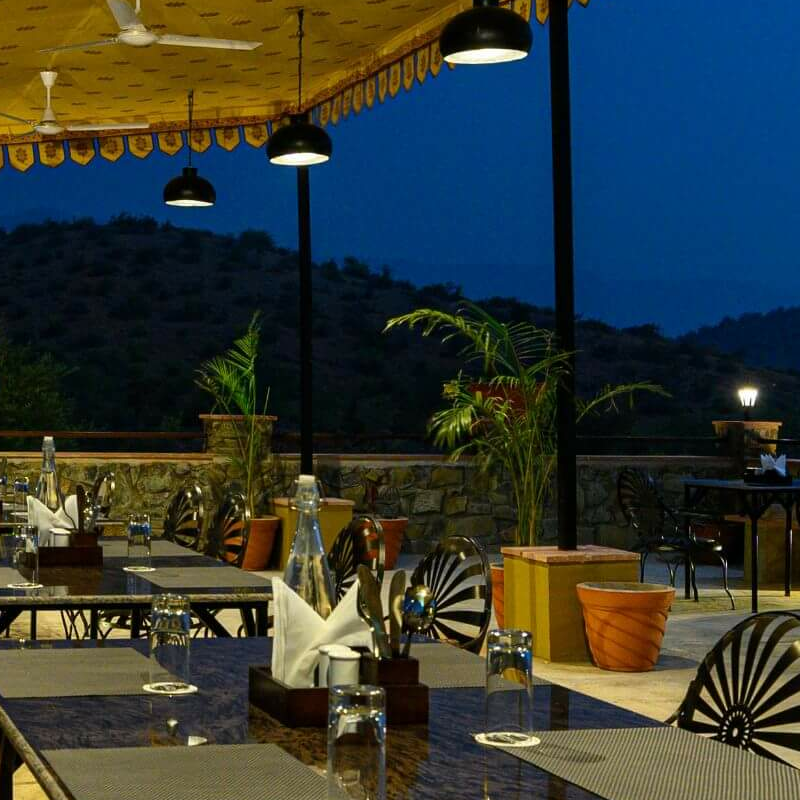 Sariska Little Affair