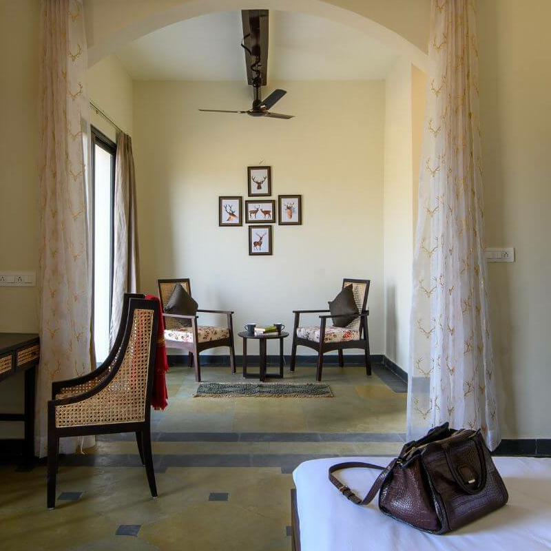 Sariska Little Affair