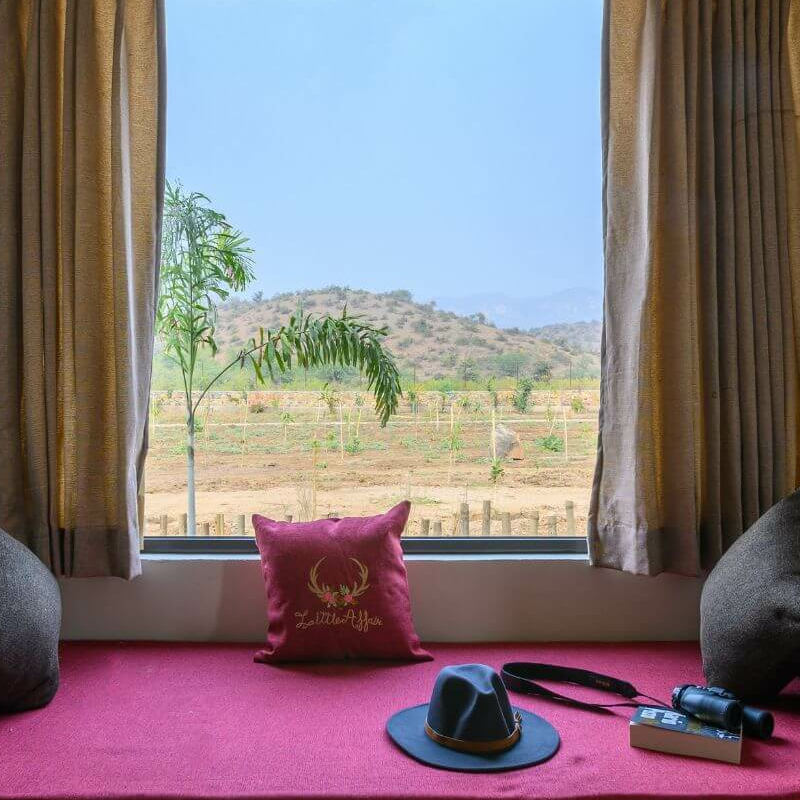 Sariska Little Affair
