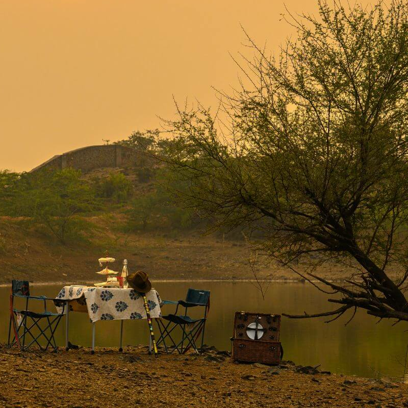 Sariska Little Affair