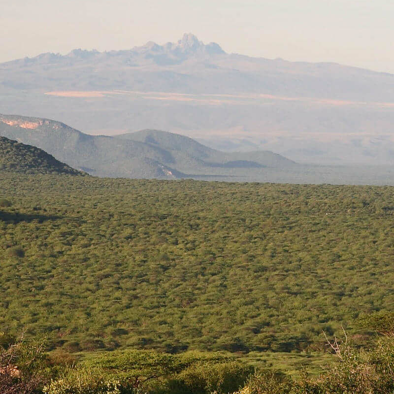 Saruni Samburu