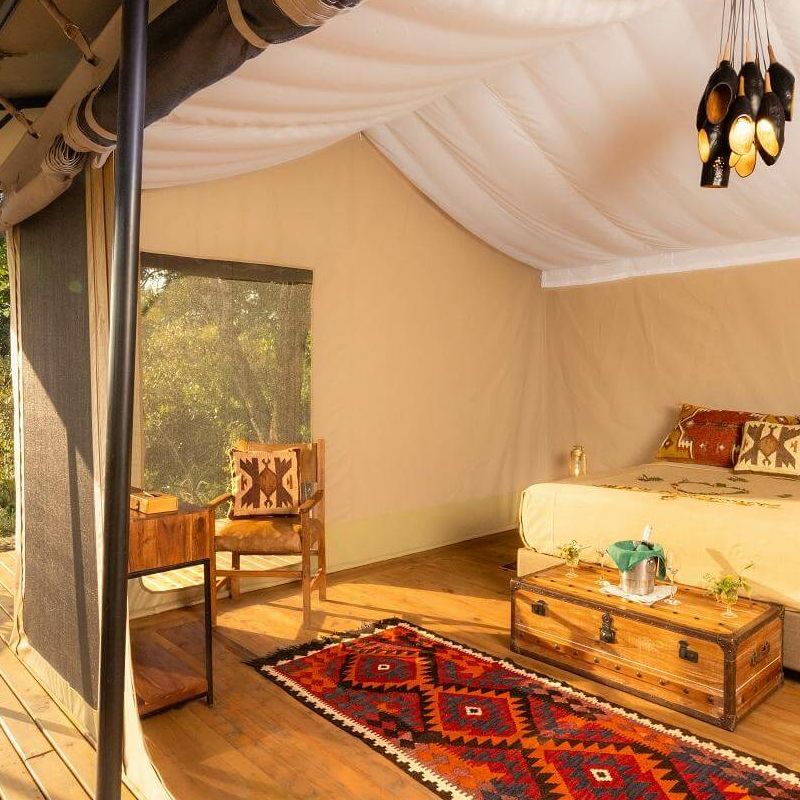 Saruni Wild Camp