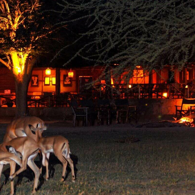 Satao Camp