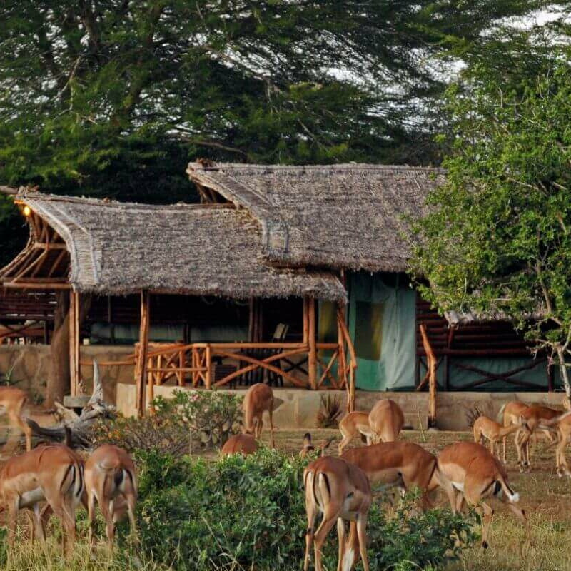 Satao Camp