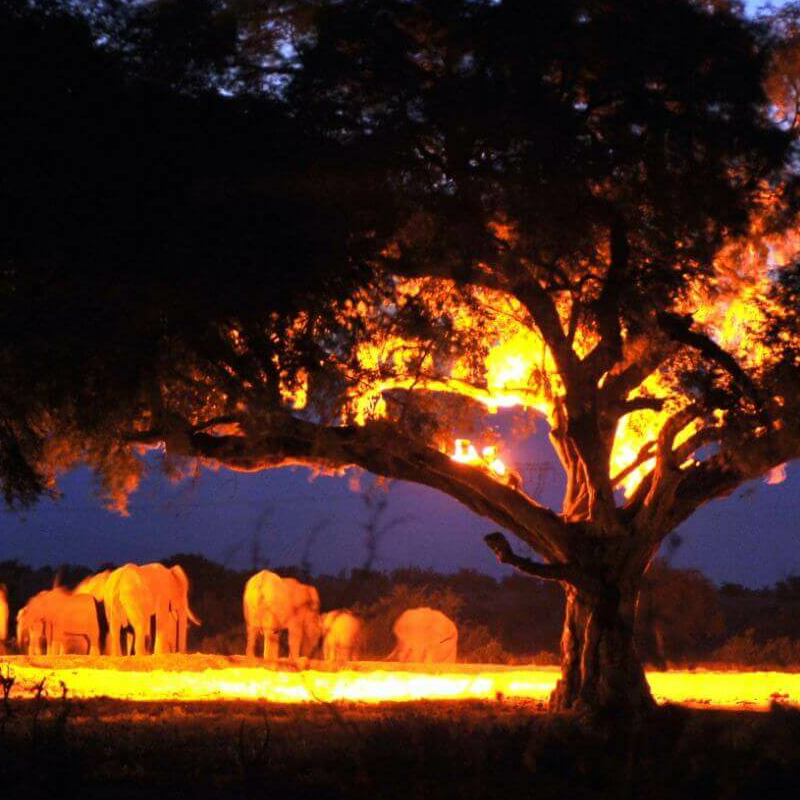Satao Camp