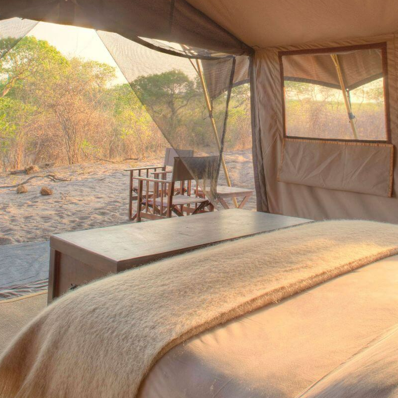 Savute under canvas