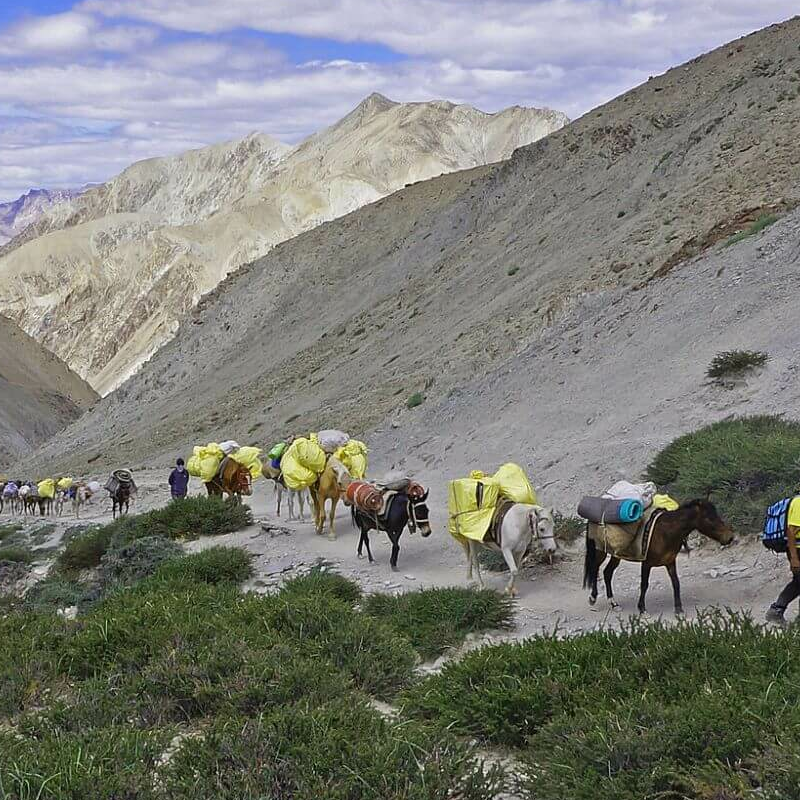 Schneeleopardtrekking