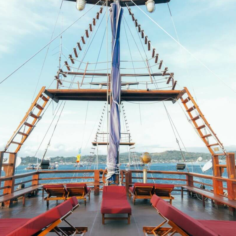 Sea Safari 8