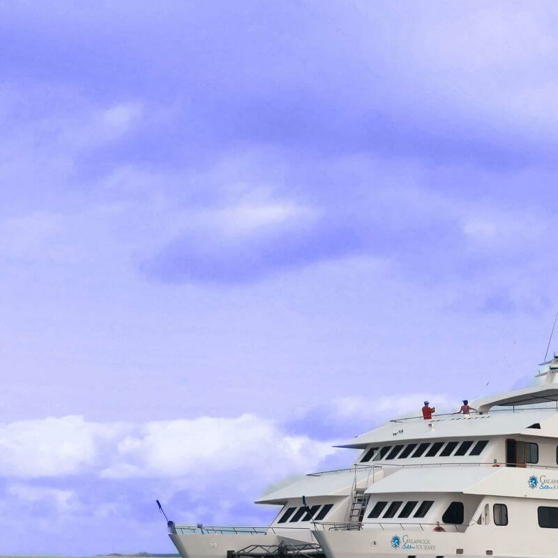 Seaman Journey