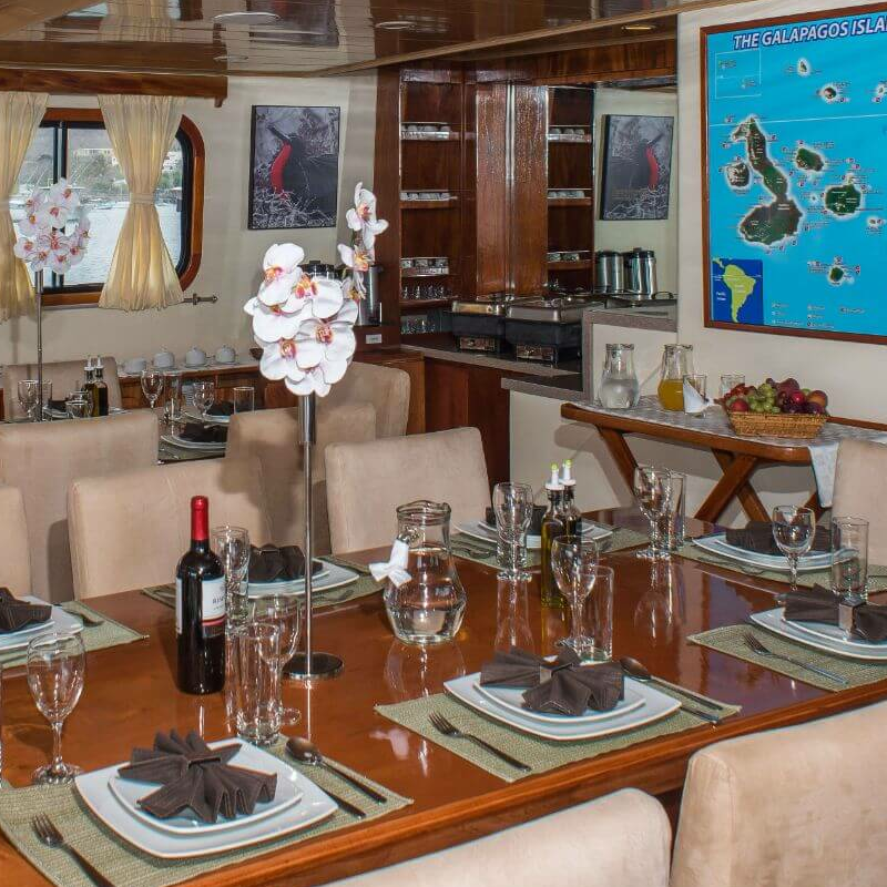 Seaman Journey
