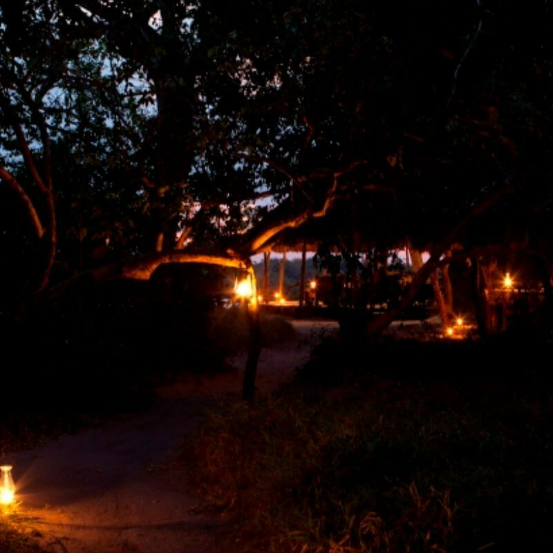 Selous River Camp