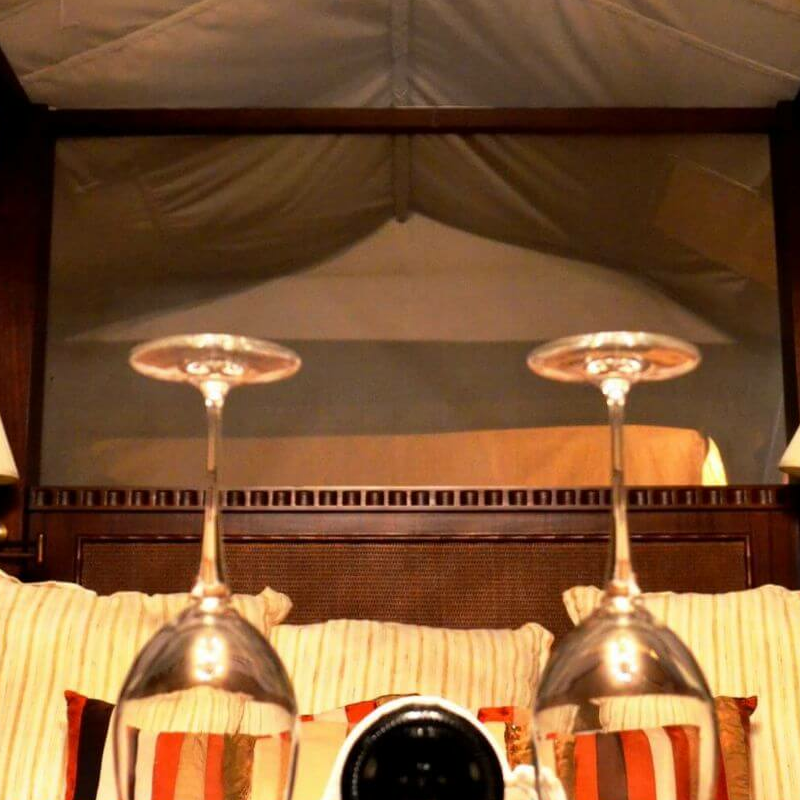 Selous Serena Camp