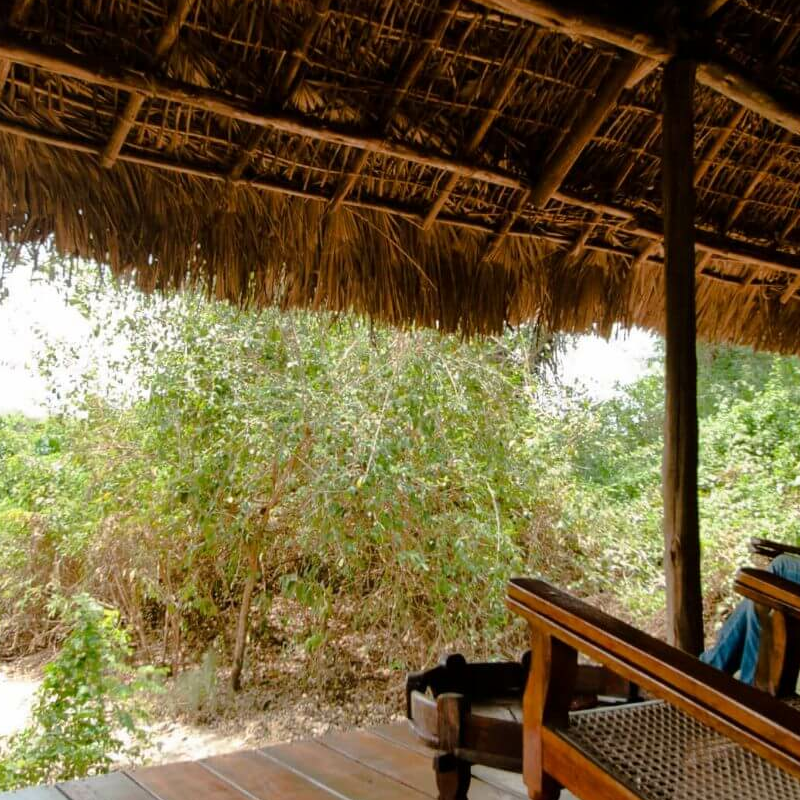 Selous Wilderness Camp