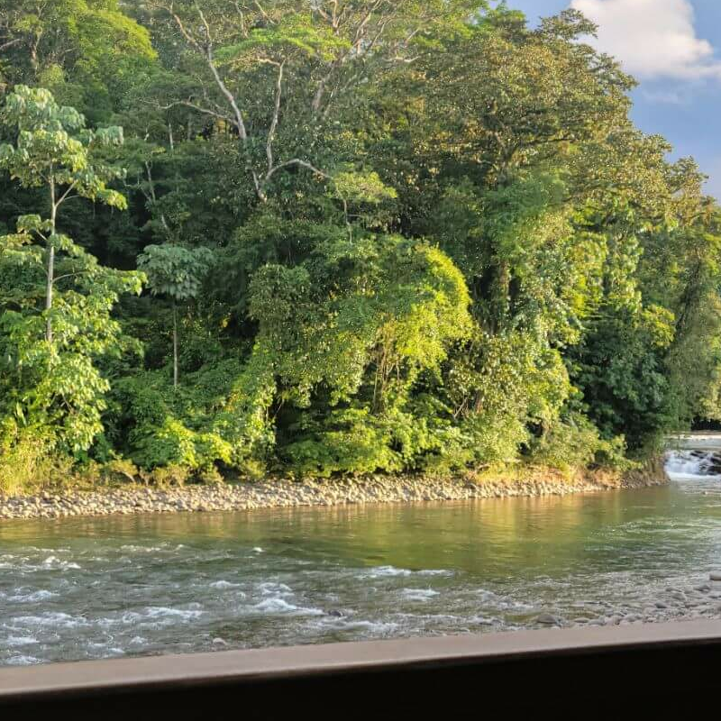 Selva Verde Lodge