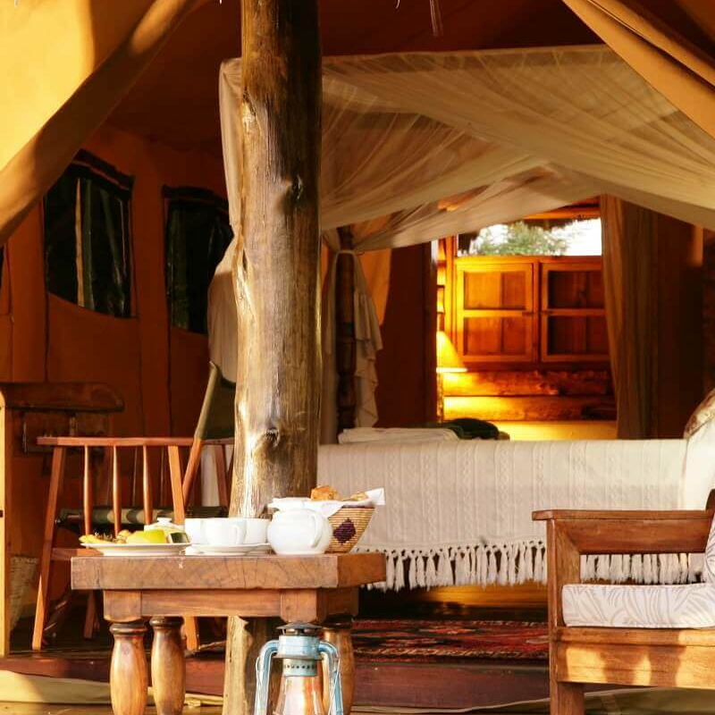 Semliki Safari Lodge