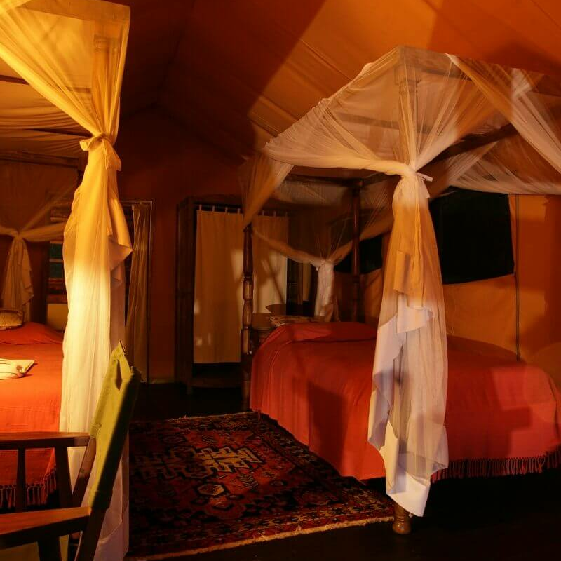 Semliki Safari Lodge