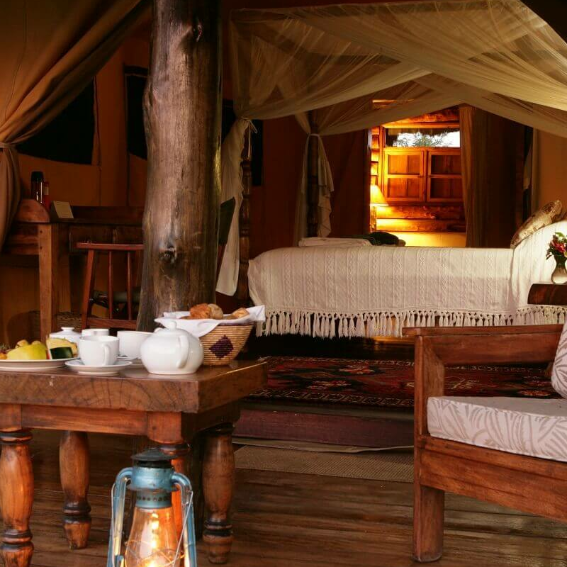 Semliki Safari Lodge