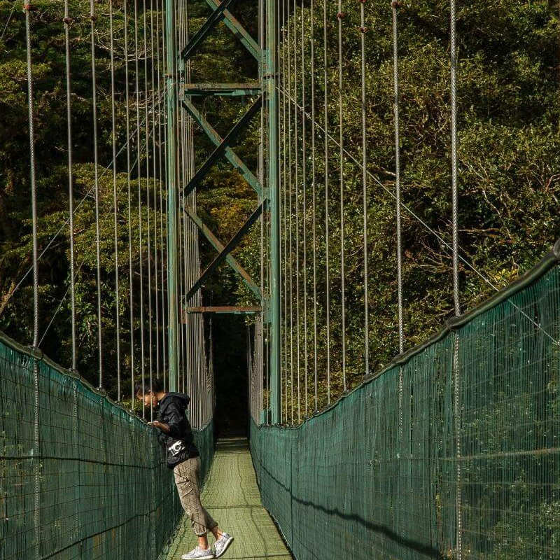 Senda Monteverde