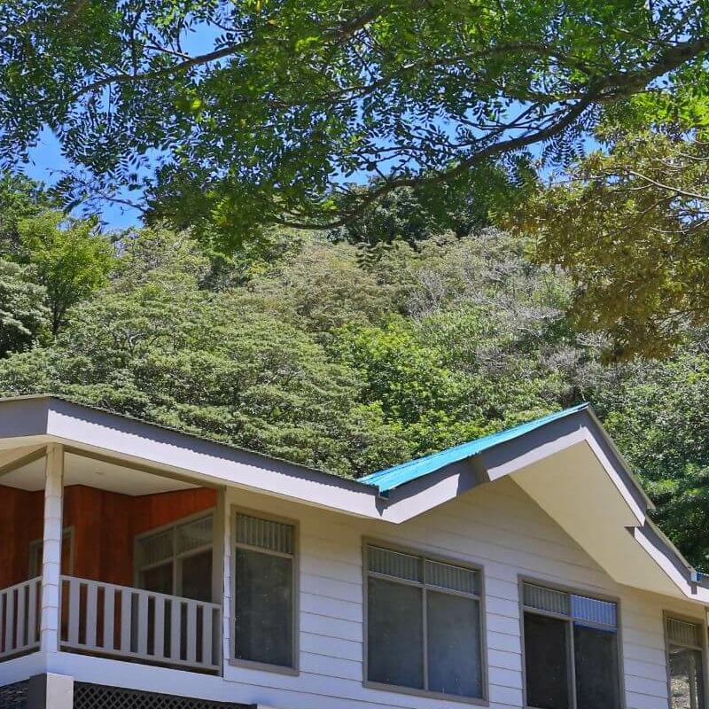 Senda Monteverde