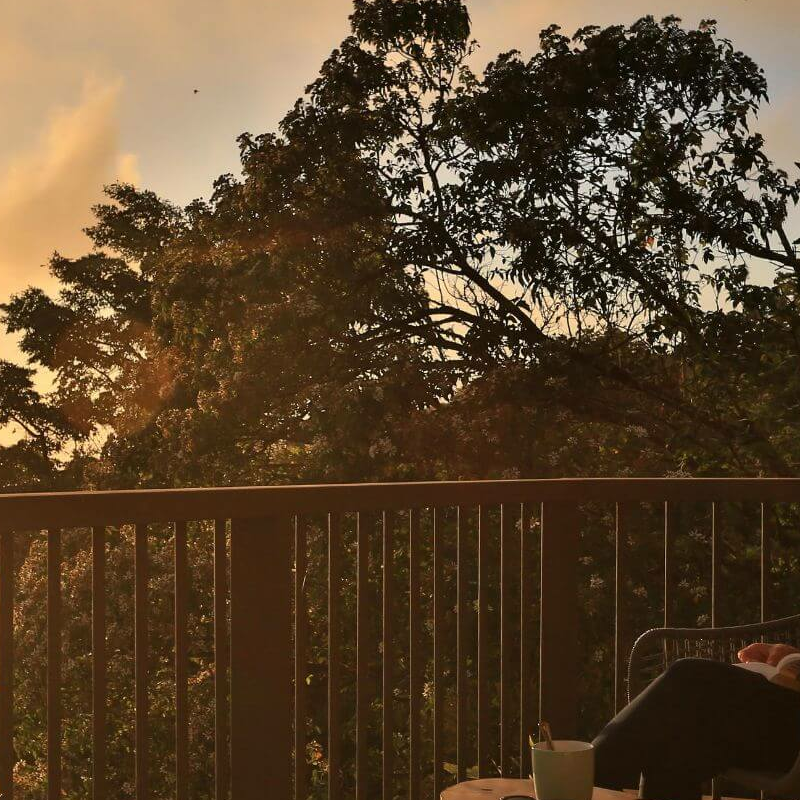 Senda Monteverde