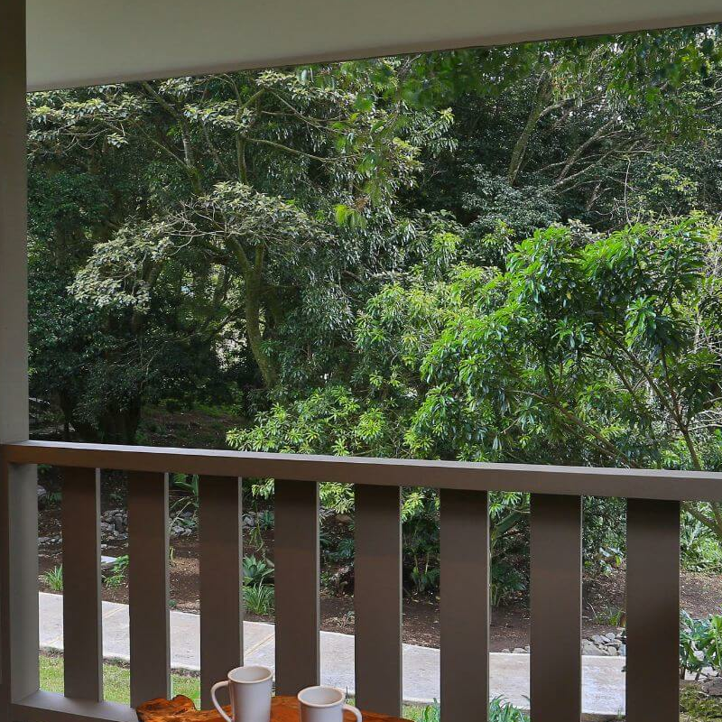 Senda Monteverde