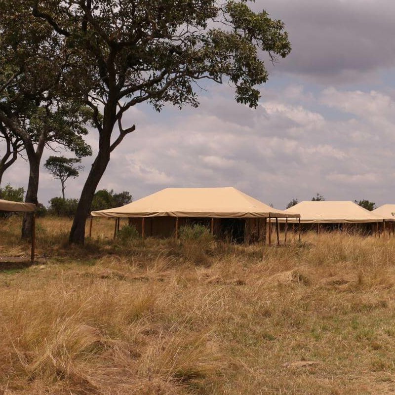 Sense of Wilderness Camp