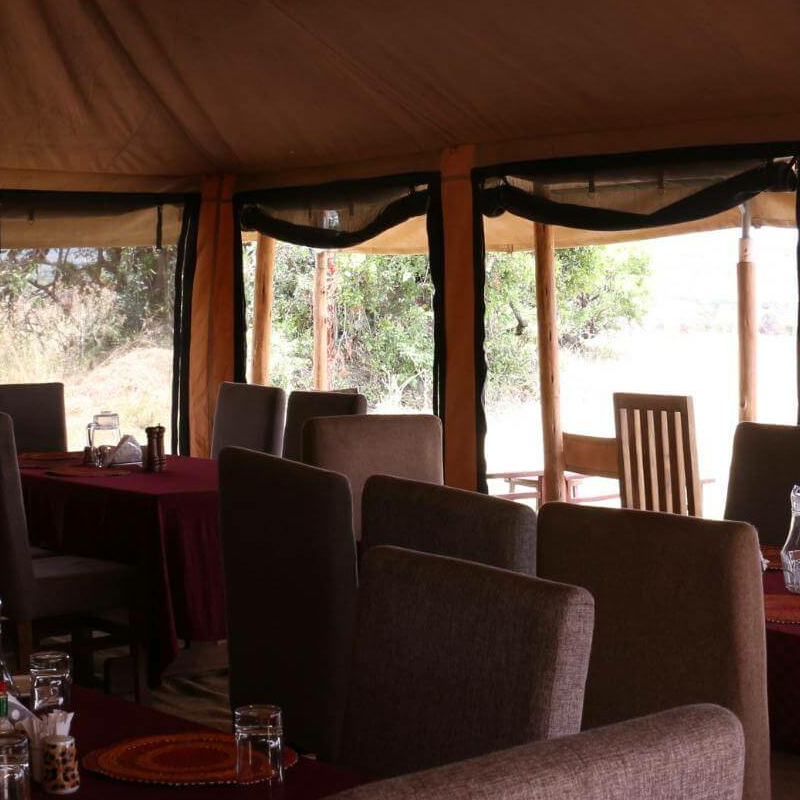 Sense of Wilderness Camp