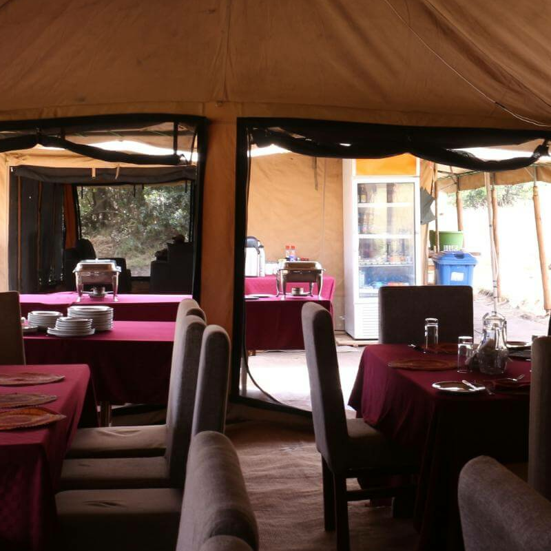 Sense of Wilderness Camp