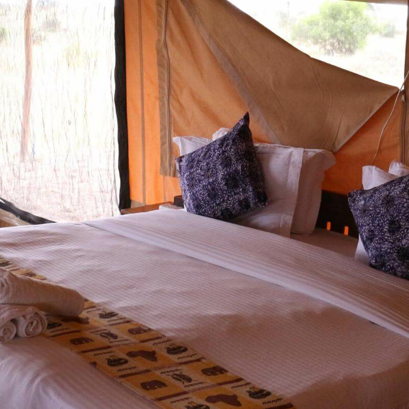Sense of Wilderness Camp