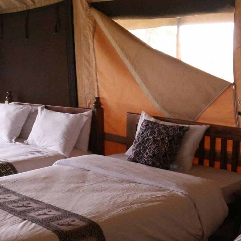 Sense of Wilderness Camp
