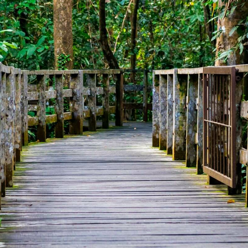 Sepilok Nature Resort