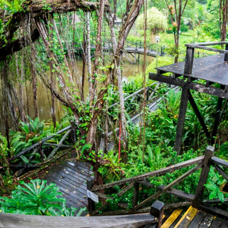 Sepilok Nature Resort