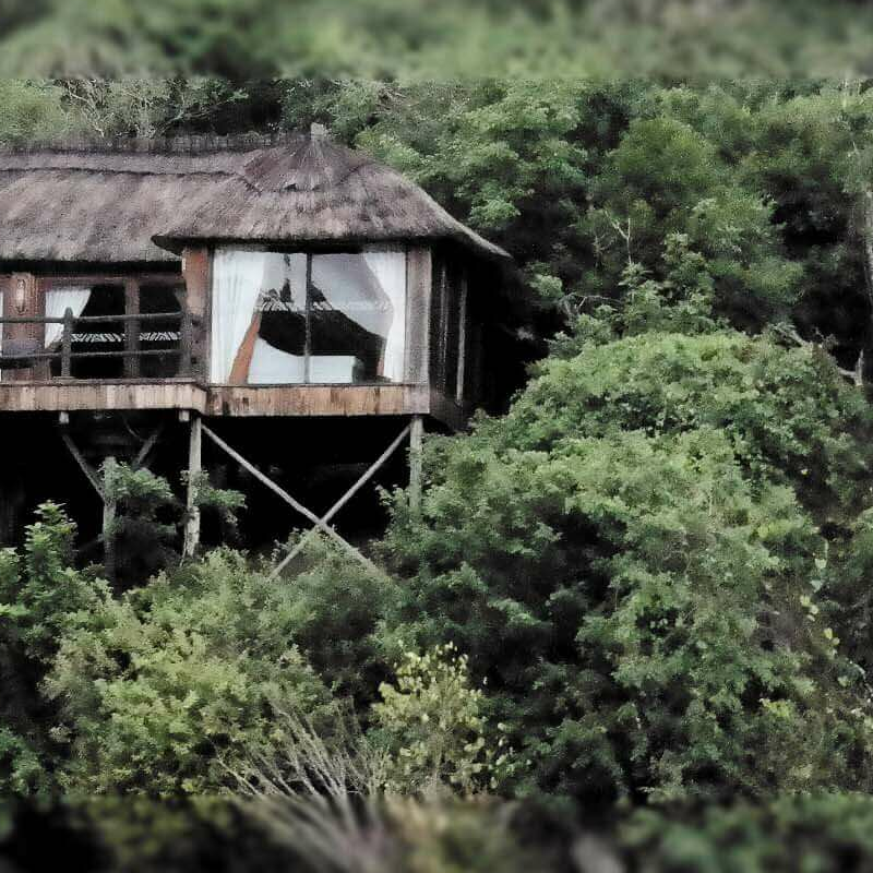 Serena Mivumo River Lodge