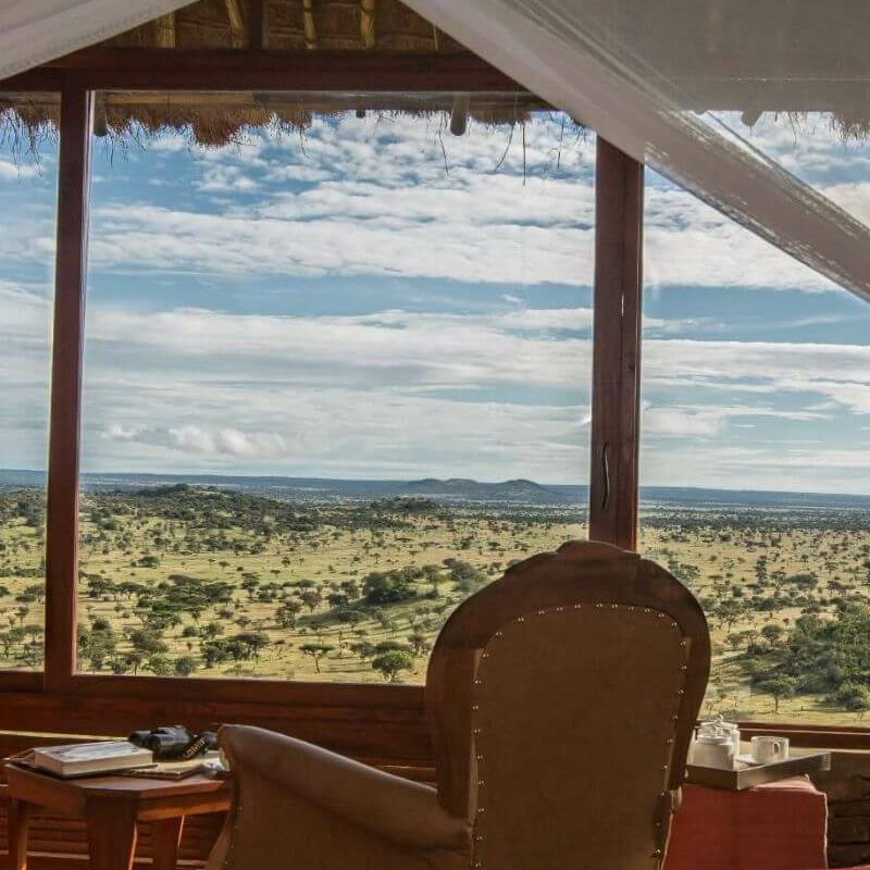 Serengeti Simba Lodge