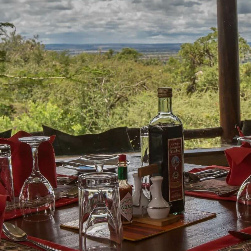 Serengeti Simba Lodge