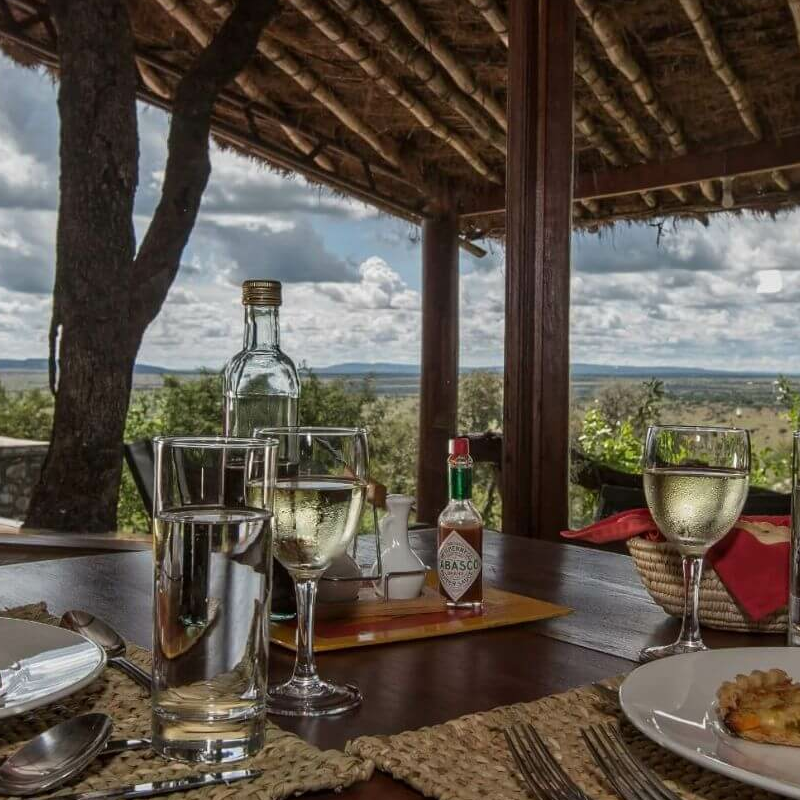 Serengeti Simba Lodge