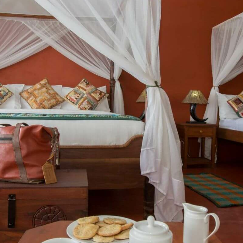 Serengeti Simba Lodge