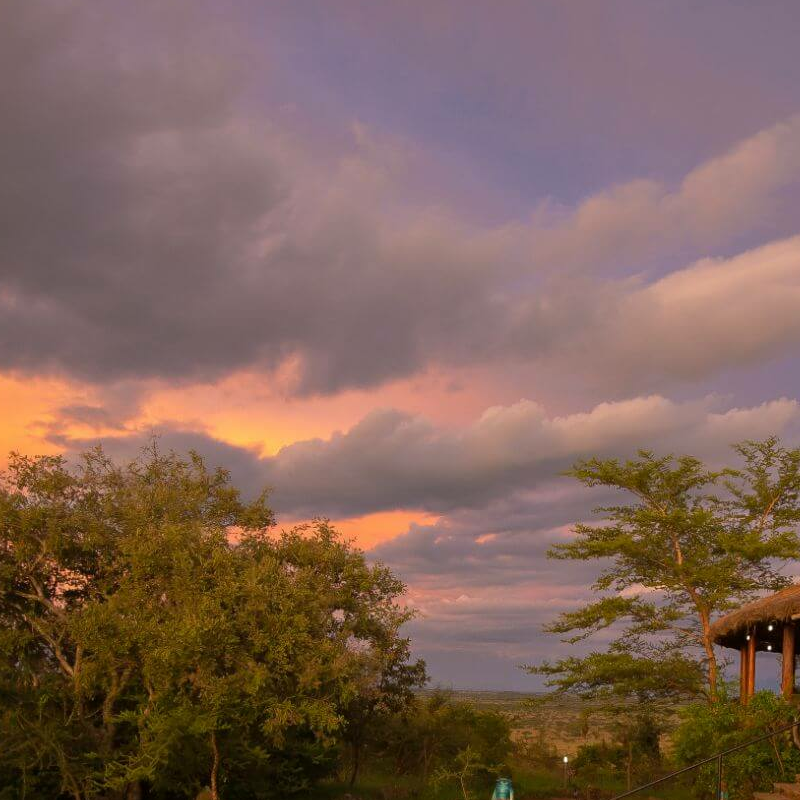 Serengeti Simba Lodge