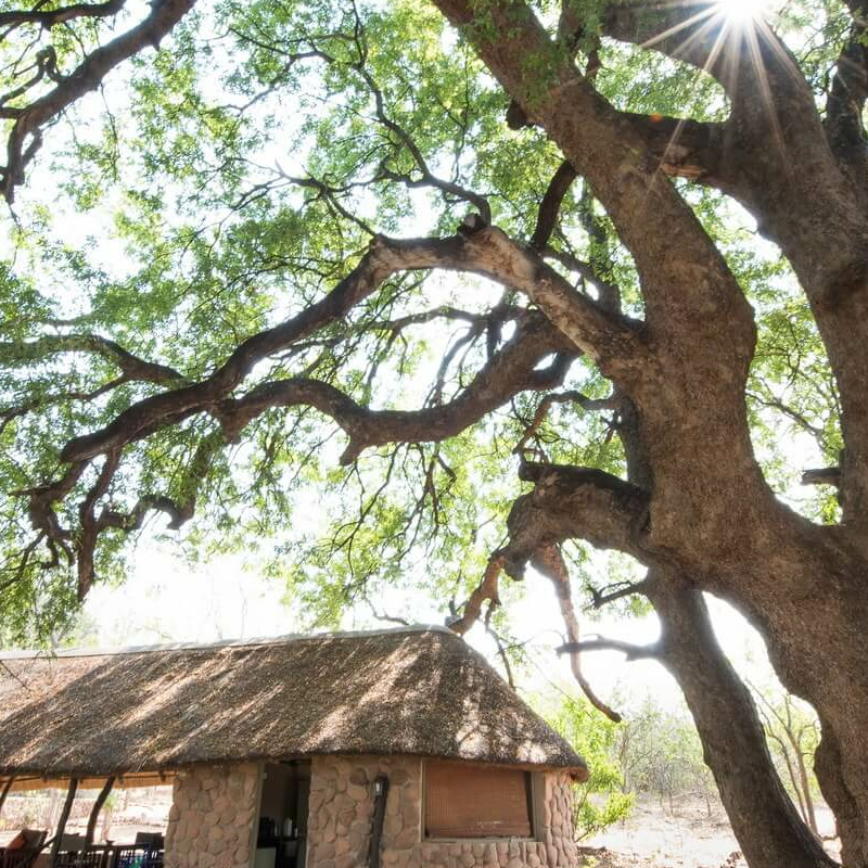 Serolo Safari Camp