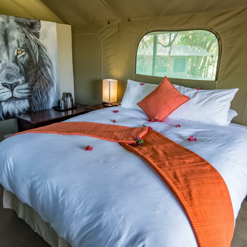 Serolo Safari Camp