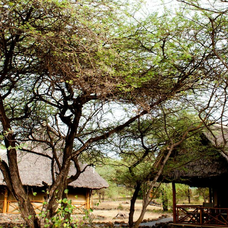 Severin Safari Camp
