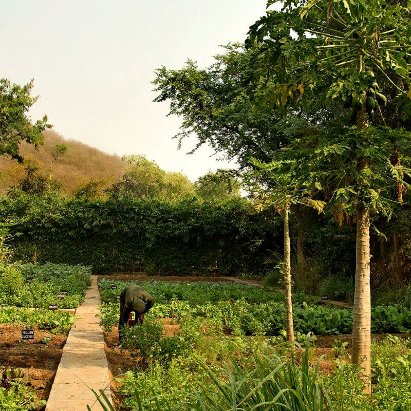 Sher Bagh