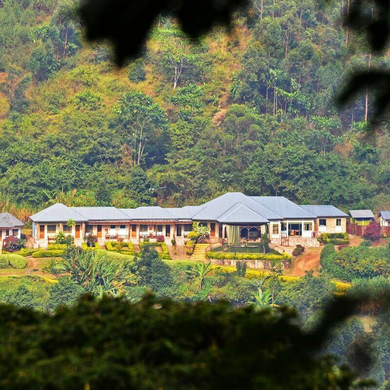 Silverback Lodge