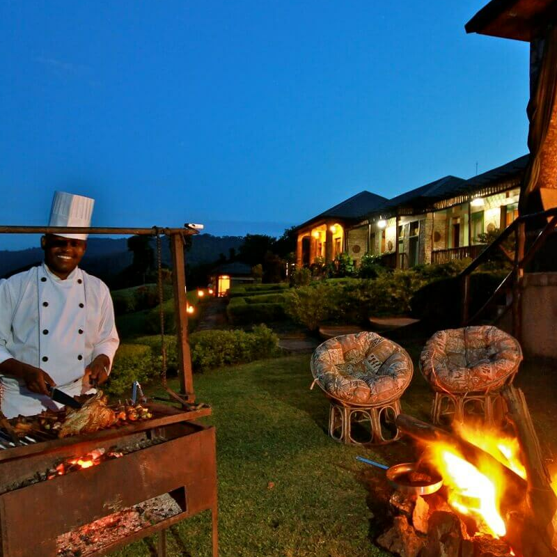 Silverback Lodge