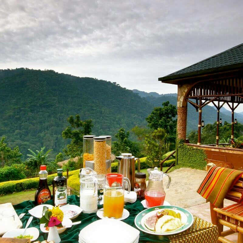 Silverback Lodge