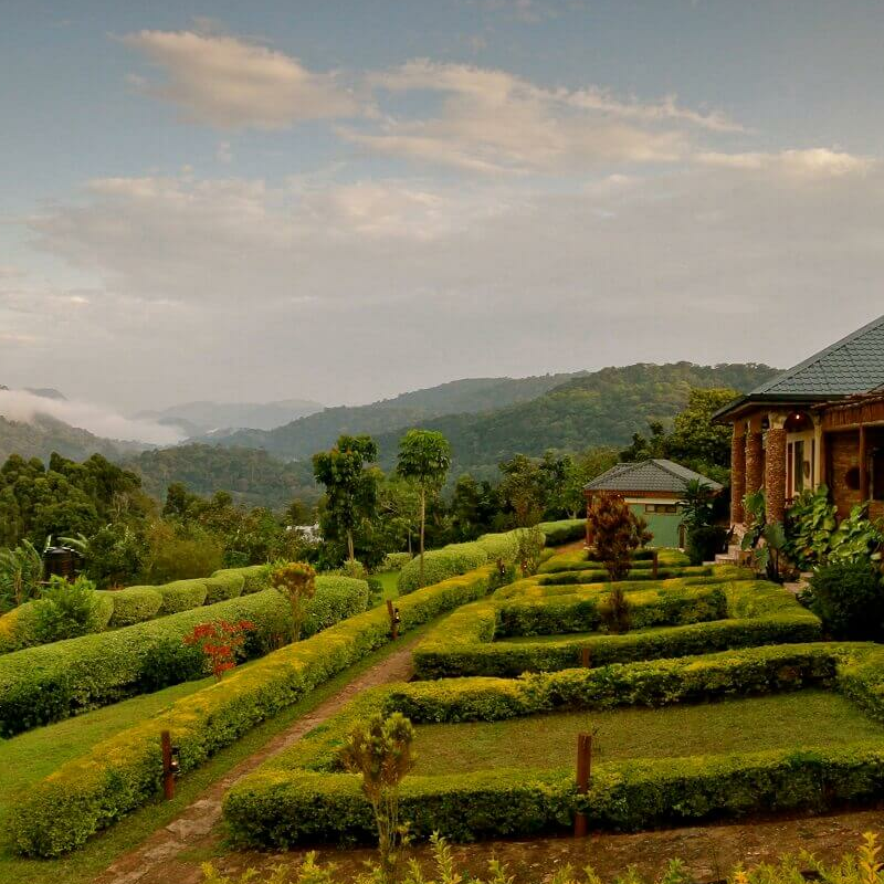 Silverback Lodge