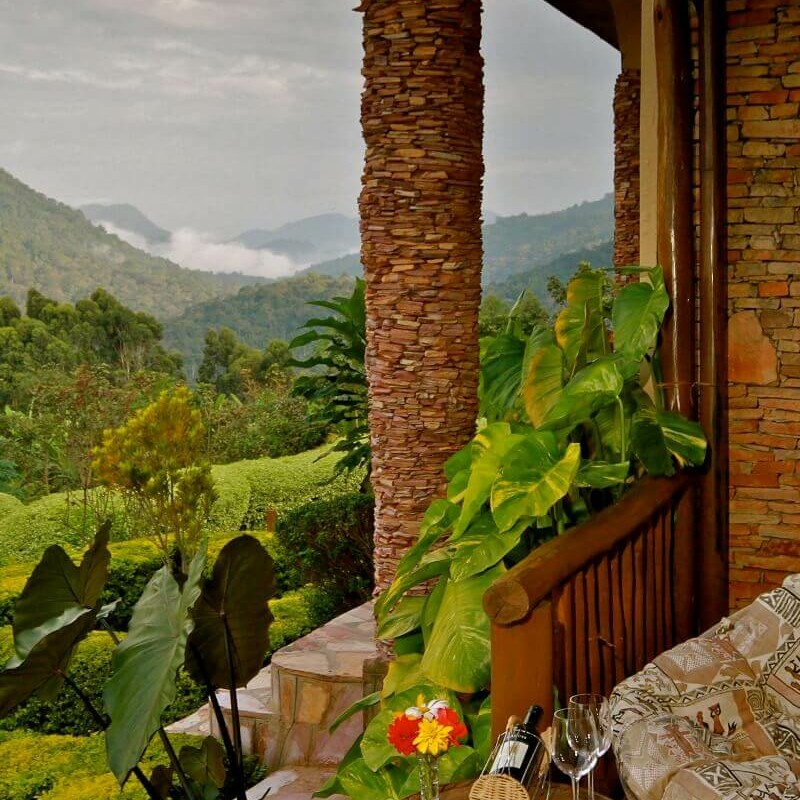 Silverback Lodge